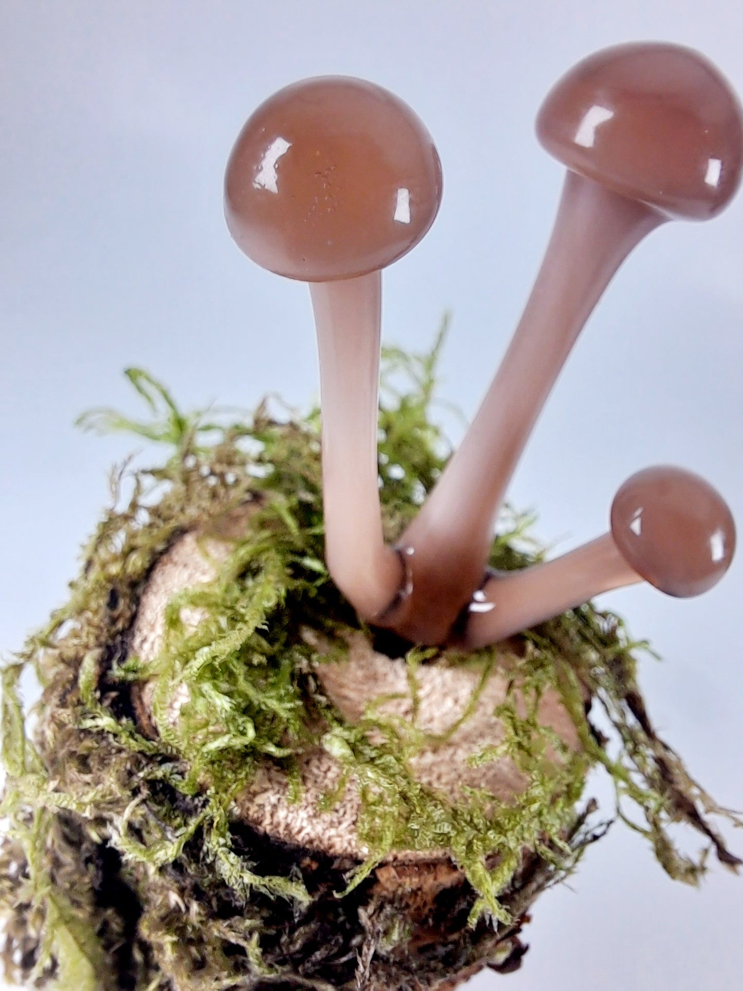 Mushroom Sculptures, Little Brown Mushrooms