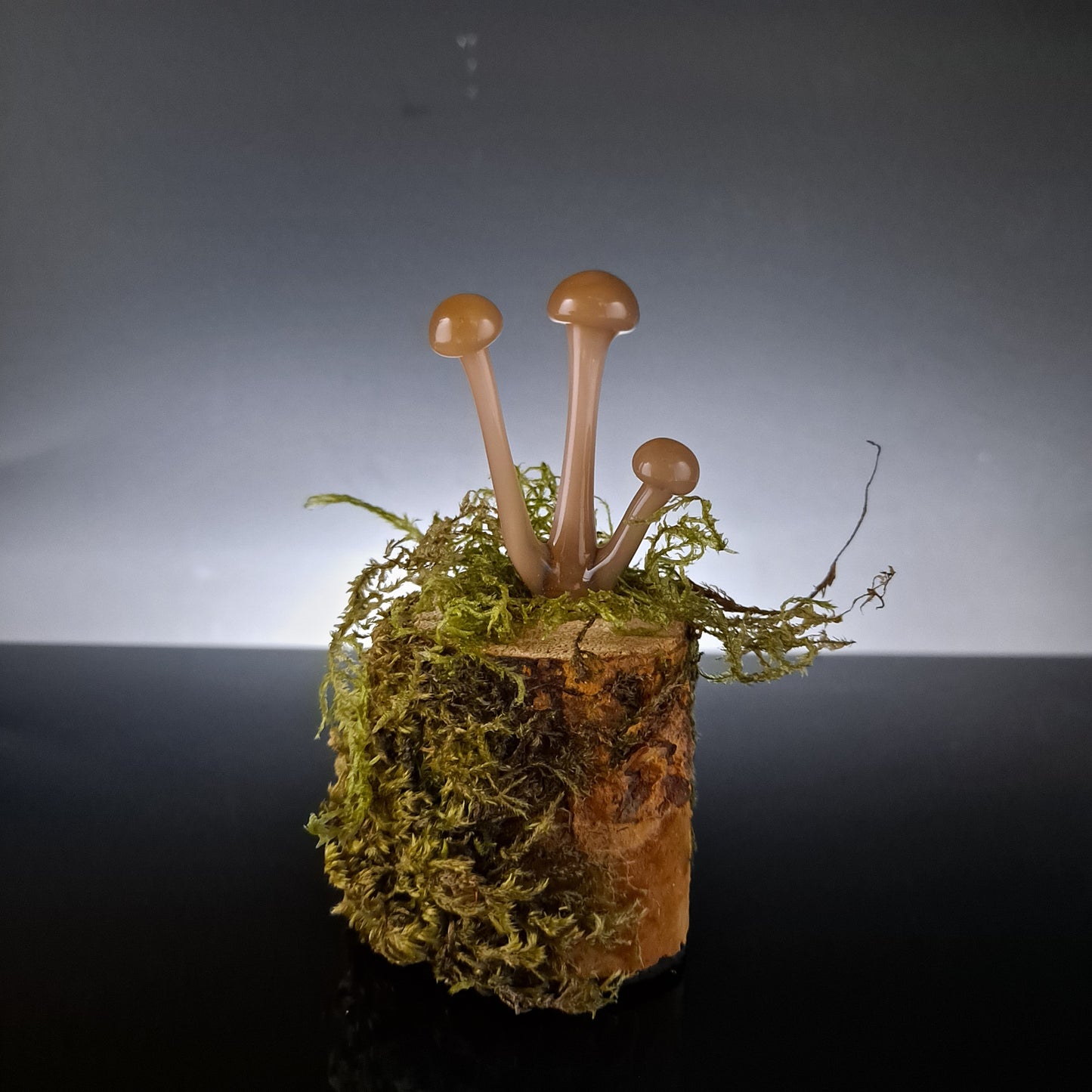 Glass Mushroom Sculptures, Amanita, Chanterelle, Morell Mushrooms