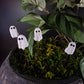 Ghost Plant Pals Houseplant and Fairy Garden Decor