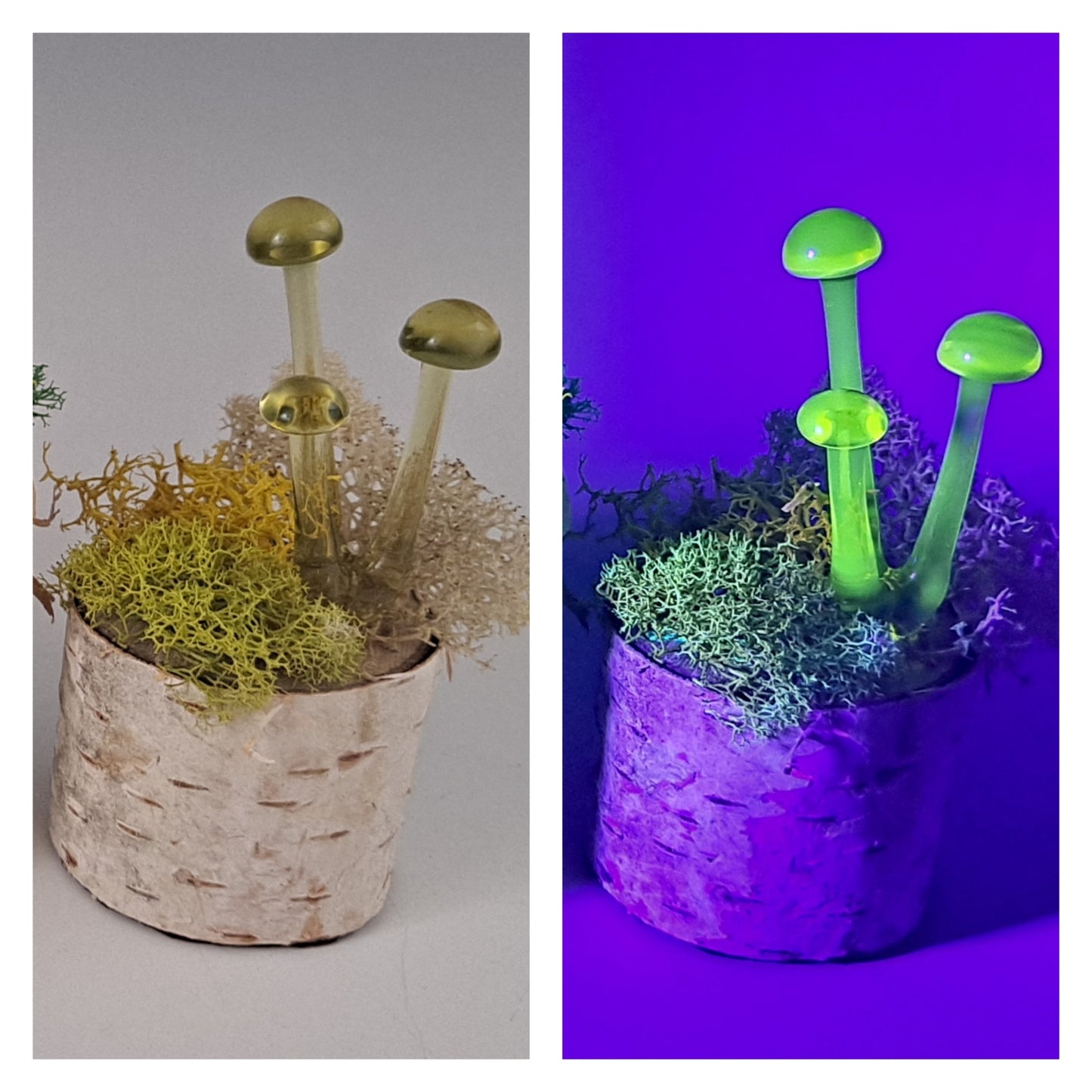 Mushroom Sculpture, UV Black Light, Made to Order