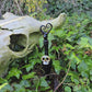 Skull Perfume Bottle, Poison Bottle, 2025 #0819