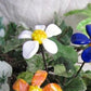 Glass Flower Plant Pals, House plant and Fairy Garden Decor