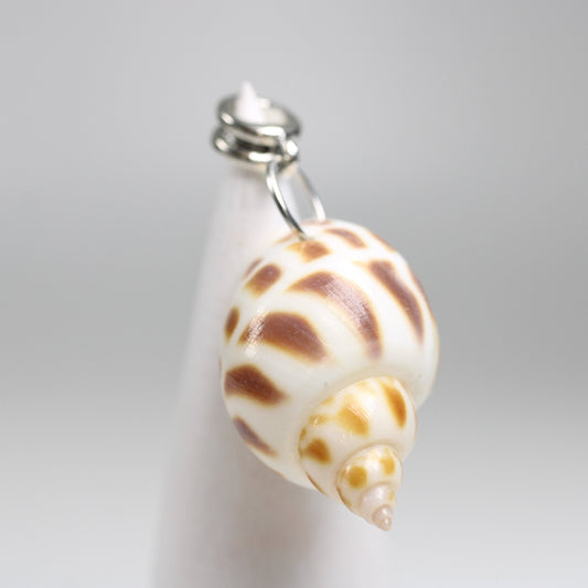 Seashell Dreadlock Bead - 5 mm bead hole - Dreadlock Accessories, Ocean Themed Dread Beads, Loc Beads,   Stone Dread Beads