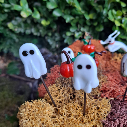 Ghost Plant Pals Houseplant and Fairy Garden Decor