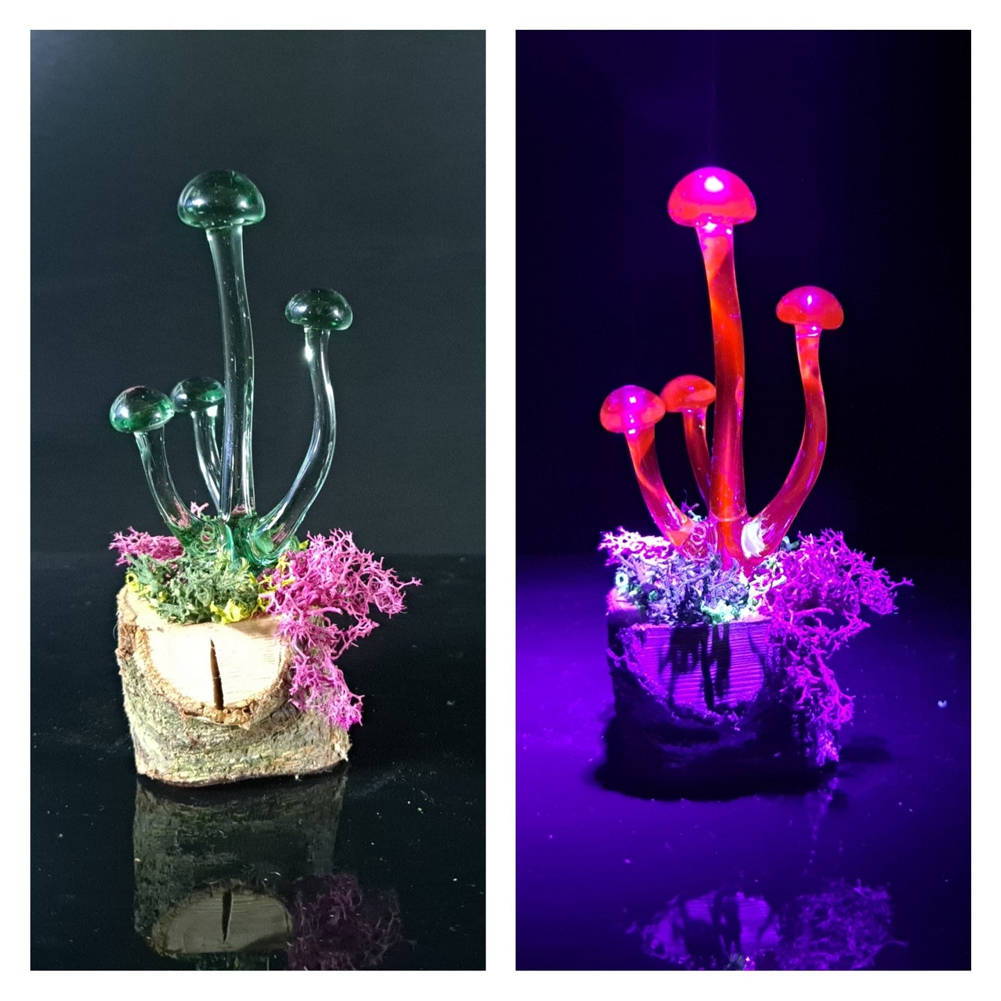 Mushroom Sculpture, UV Black Light, Made to Order