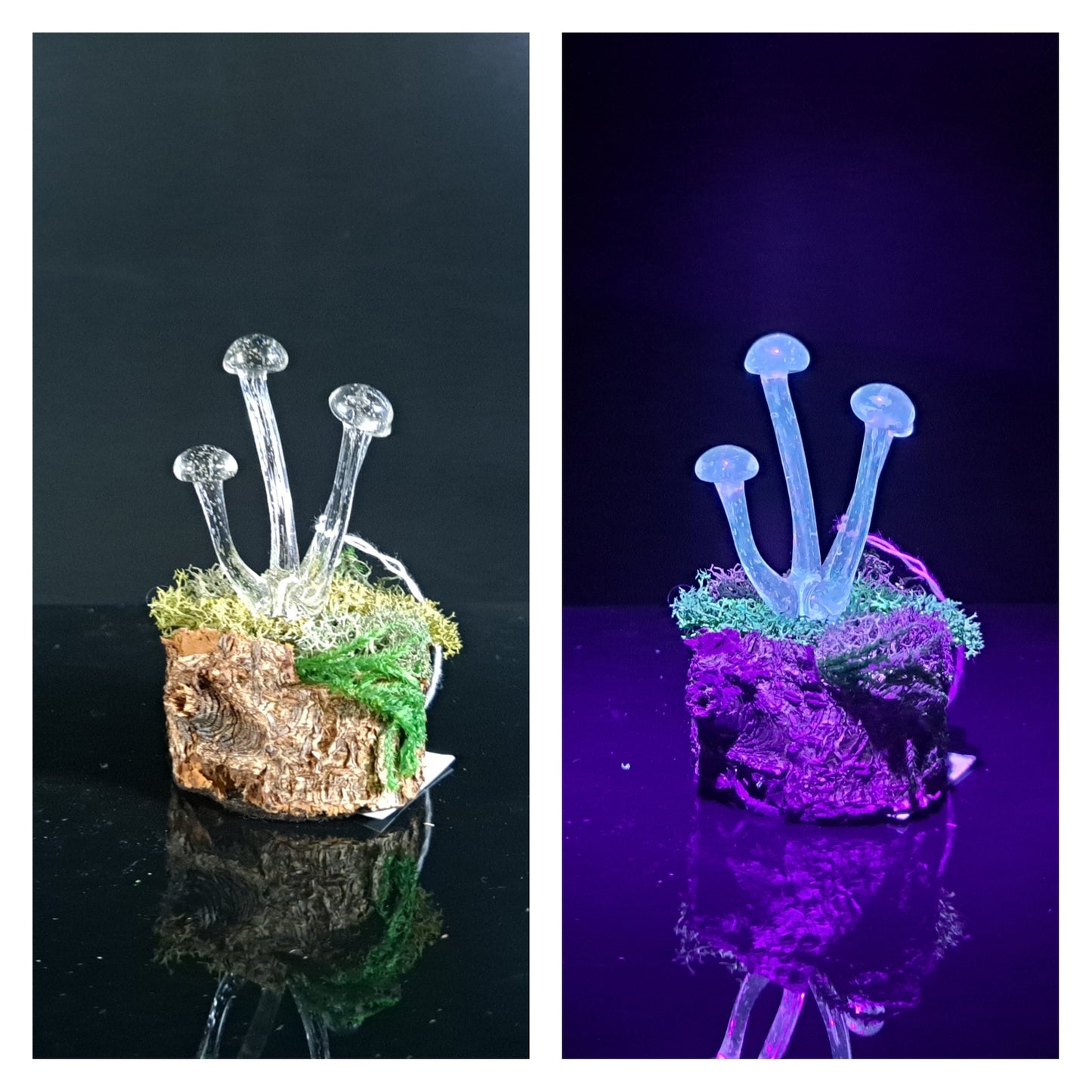 Mushroom Sculpture, UV Black Light, Made to Order