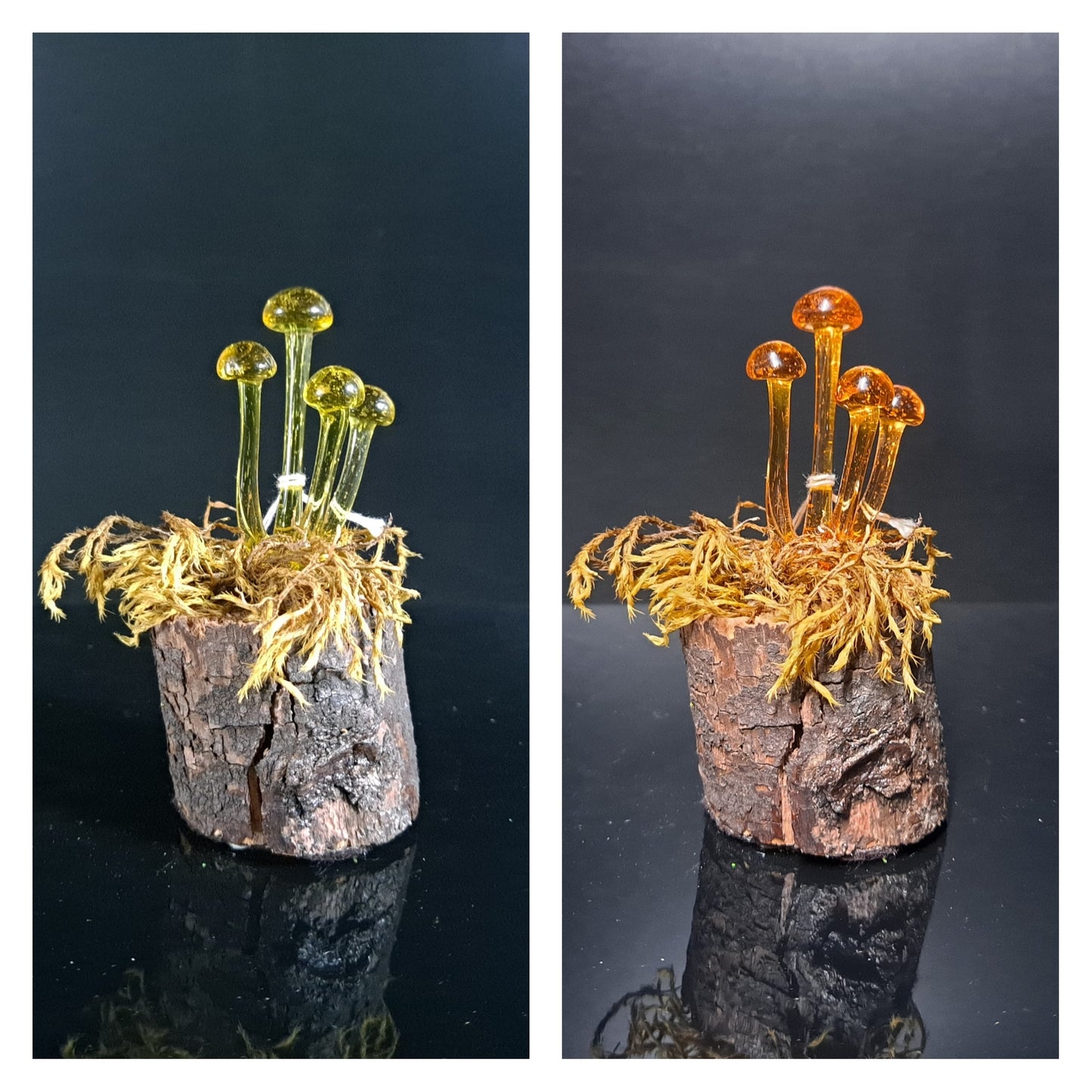 Mushroom Sculpture, Color Changing Mushroom Collection