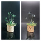 Mushroom Sculpture, Color Changing Mushroom Collection